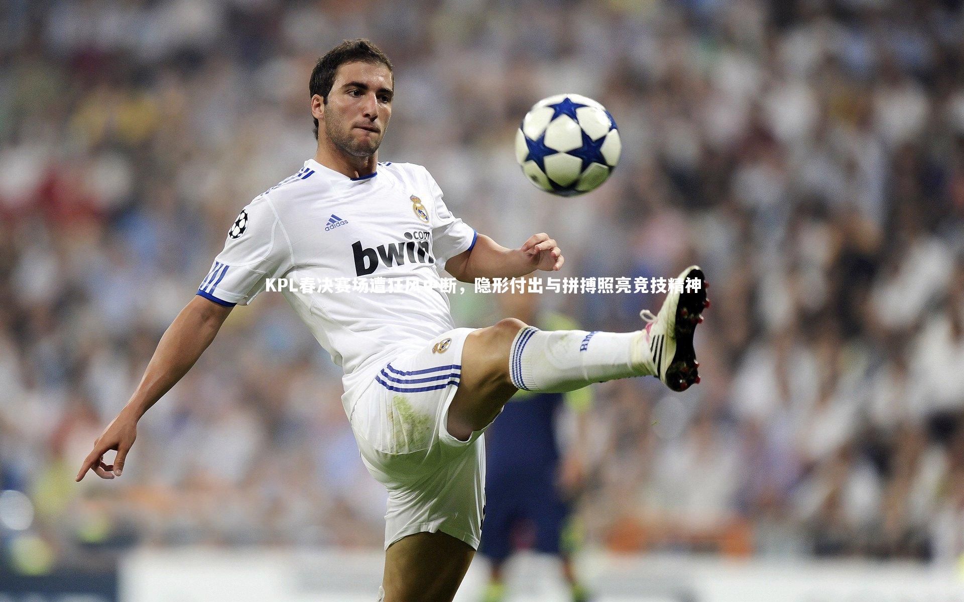 KPL春决赛场遭狂风中断，隐形付出与拼搏照亮竞技精神